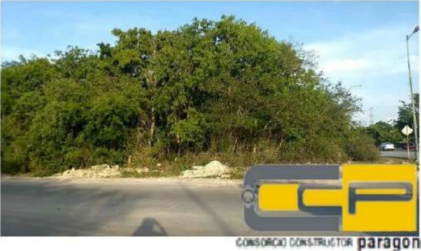 Nuk Ten Playa Car · fotografía de obra